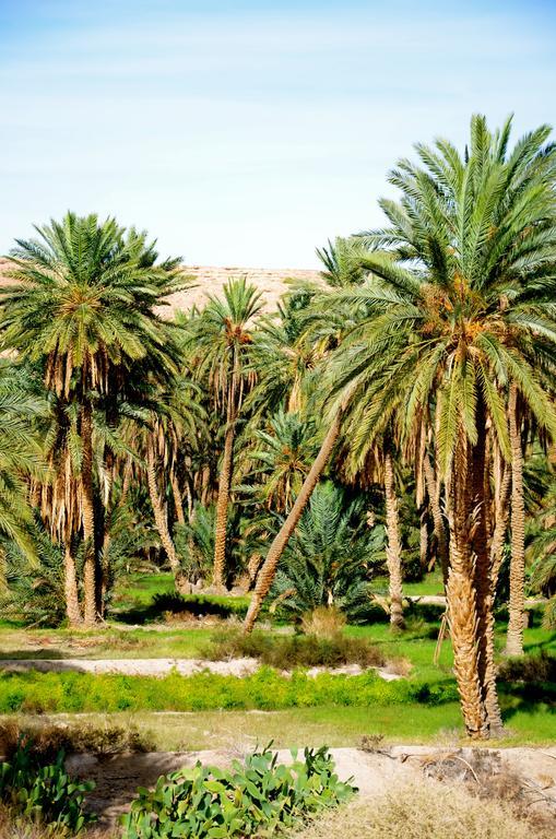 Dar Tozeur Hotel Luaran gambar