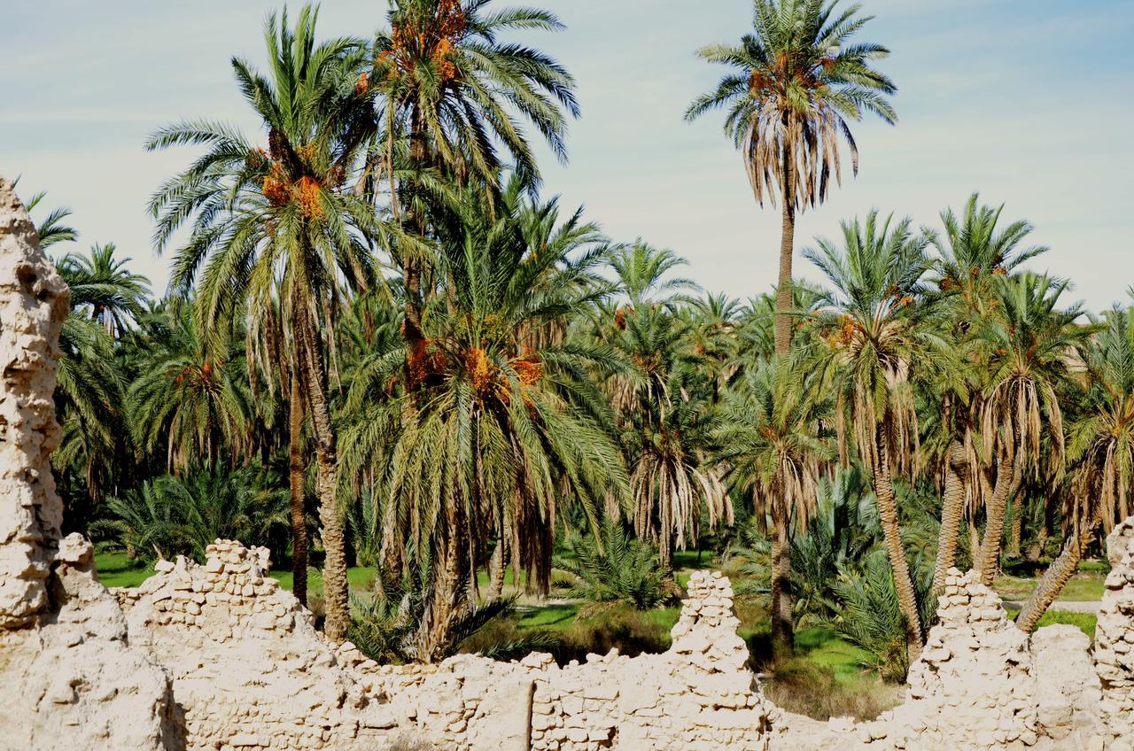 Dar Tozeur Hotel Luaran gambar